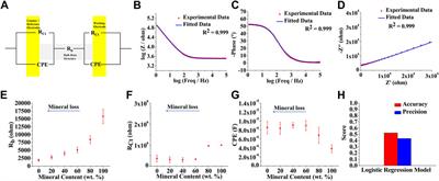 Non-destructive characterization of bone mineral content by machine learning-assisted electrochemical impedance spectroscopy